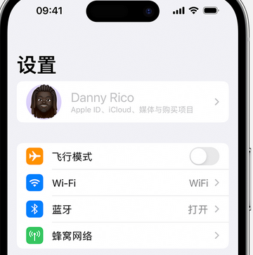 清江浦appleID维修服务iPhone设置中Apple ID显示为灰色无法使用 