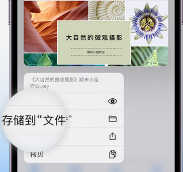 清江浦apple维修中心分享iPhone文件应用中存储和找到下载文件