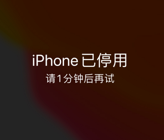 清江浦苹果手机维修分享:iPhone 显示“不可用”或“已停用”怎么办？还能保留数据吗？ 