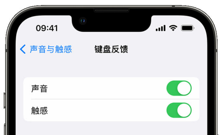 清江浦苹果手机维修分享iPhone 14触感键盘使用方法 