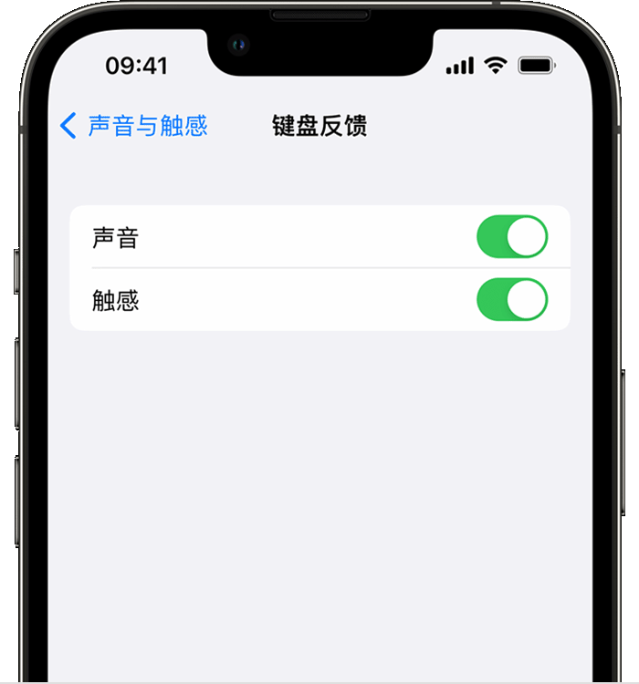 清江浦苹果14维修店分享如何在 iPhone 14 机型中使用触感键盘 