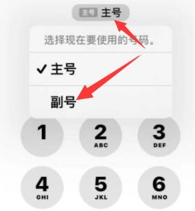 清江浦苹果14维修店分享iPhone 14 Pro Max使用副卡打电话的方法 