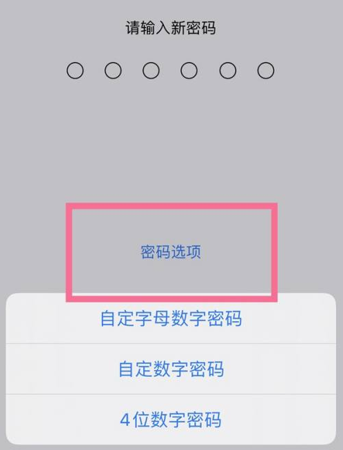 清江浦苹果14维修分享iPhone 14plus设置密码的方法 