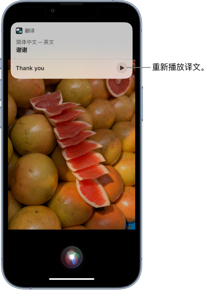 清江浦苹果14维修分享 iPhone 14 机型中使用 Siri：了解 Siri 能帮你做什么 