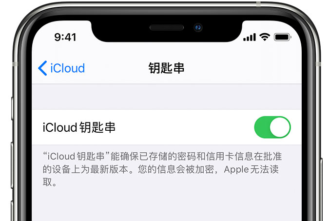 清江浦苹果手机维修分享在 iPhone 上开启 iCloud 钥匙串之后会储存哪些信息 