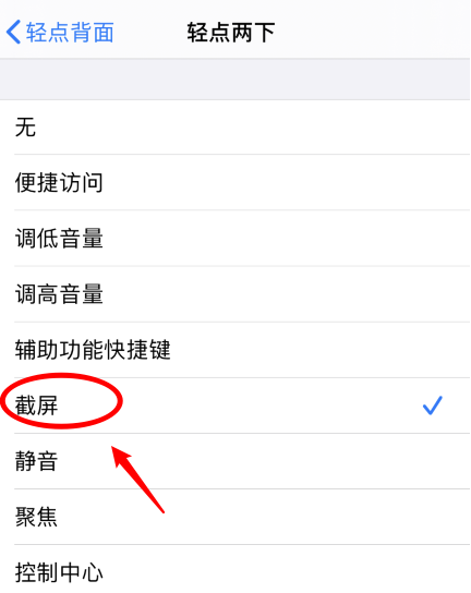 清江浦苹果手机维修分享iPhone12如何启用双击截屏 