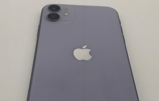 清江浦苹果11系统维修分享iPhone11手机系统崩溃无法开机如何解决 